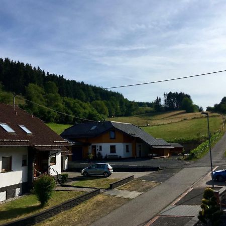 Ferienwohnung Am Nuerburgring/Wintersport Arft Acht 外观 照片