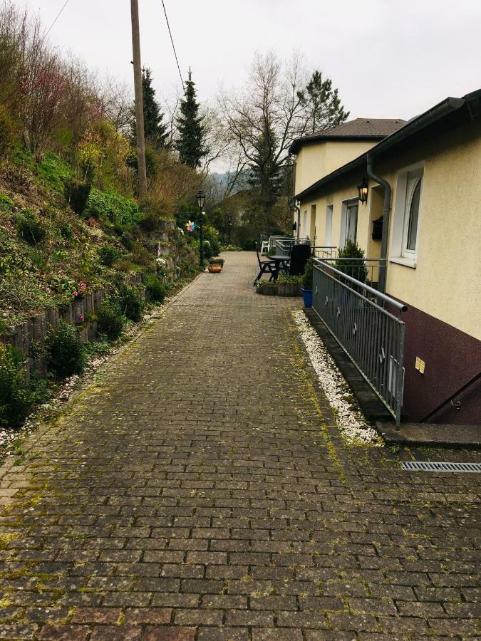 Ferienwohnung Am Nuerburgring/Wintersport Arft Acht 外观 照片