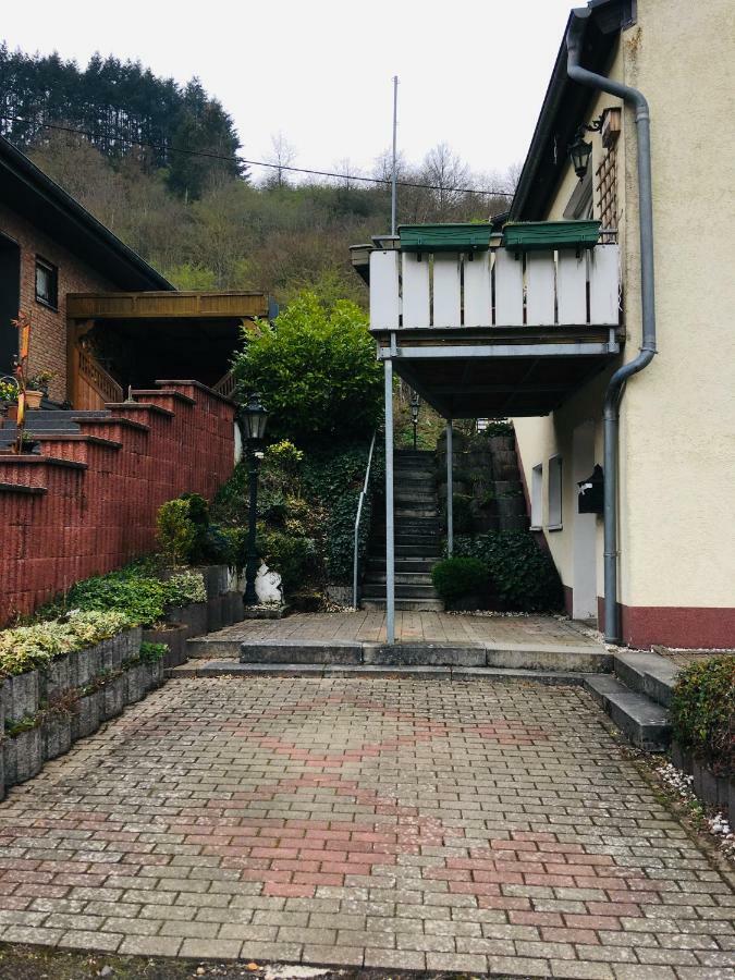 Ferienwohnung Am Nuerburgring/Wintersport Arft Acht 外观 照片