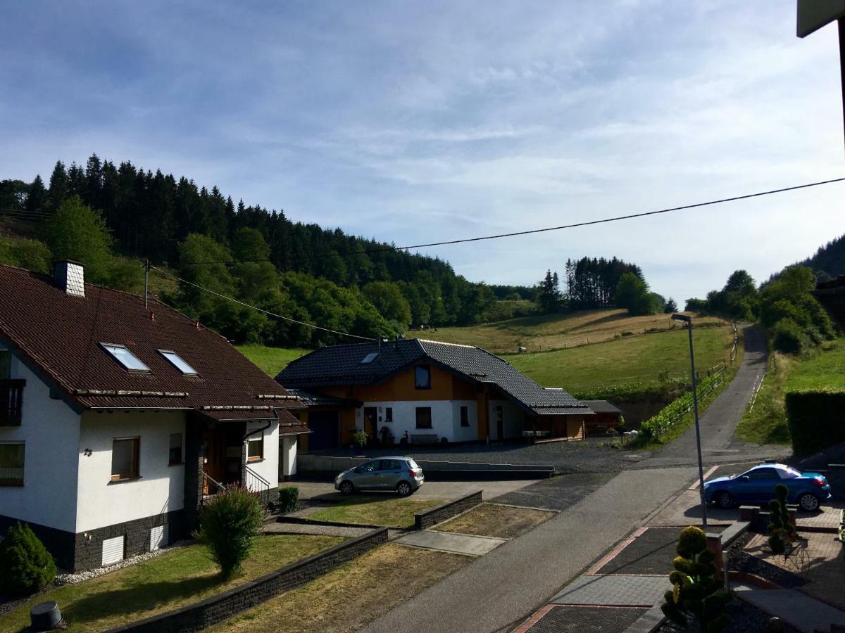 Ferienwohnung Am Nuerburgring/Wintersport Arft Acht 外观 照片