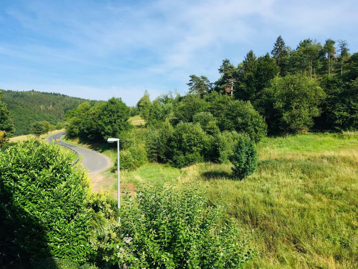 Ferienwohnung Am Nuerburgring/Wintersport Arft Acht 外观 照片